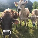 Gospodarstwo agroturystyczne Dimora Natura-riserva Naturale Valle Di Bondo Tremosine