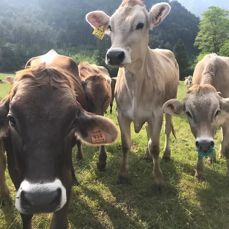Alloggio per agriturismo Dimora Natura-riserva Naturale Valle Di Bondo Tremosine